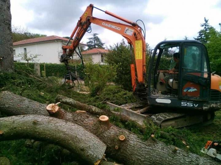 Abattage d'arbre Agen