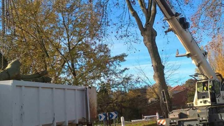 Travaux d'élagage Agen