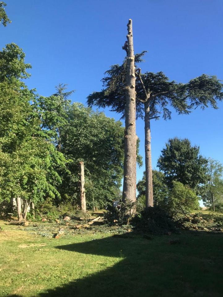Travaux d'élagage Agen