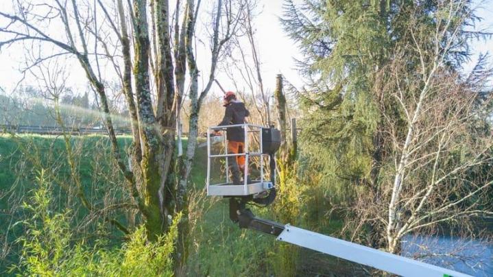 Nos travaux d’élagage seront réalisés dans le respect des normes de sécurité.
