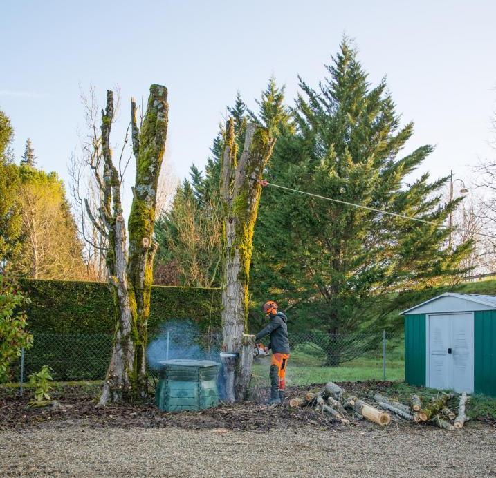 Nos abatteurs garantissent un travail soigné et assurent la propreté du lieu après les travaux.